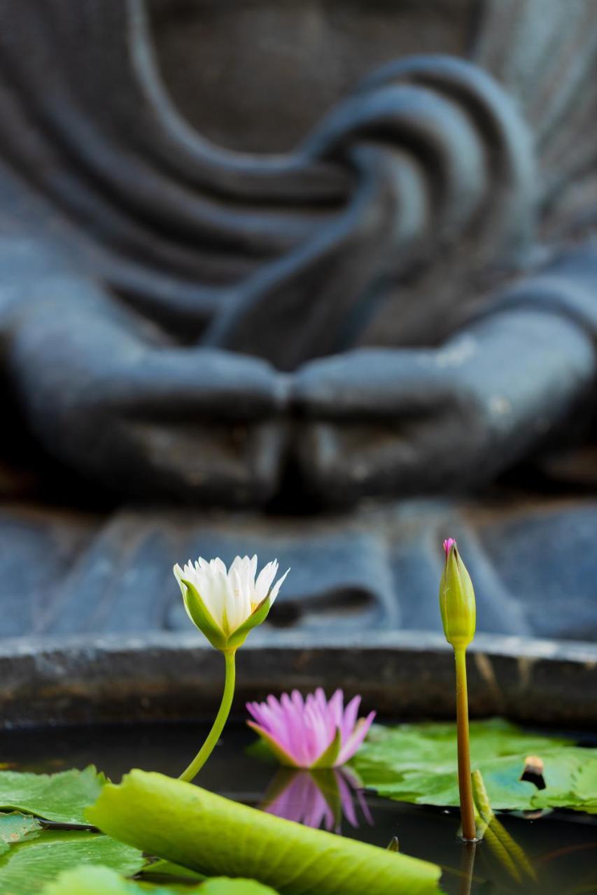 Villa Lotus 8 坎古 外观 照片